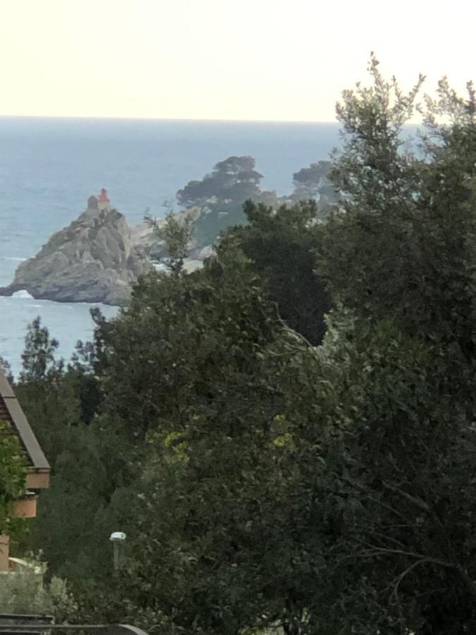 Apartmani Lime Petrovac Eksteriør billede